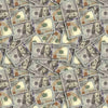100 Dollar Bill Benjamins Hydrographic Film