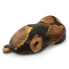 Gold Black Boa Hydrographic Film