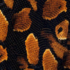 Gold Black Boa Hydrographic Film
